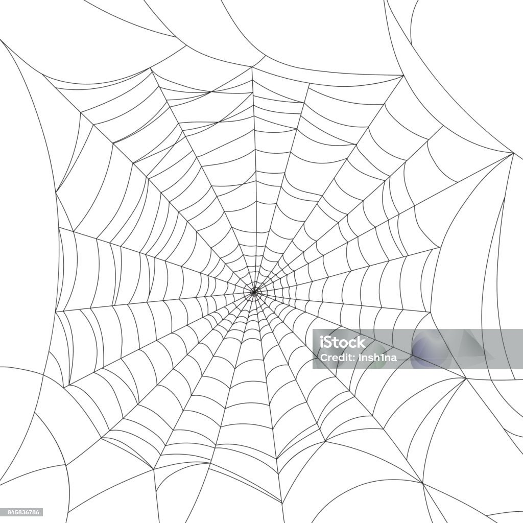Spider web isolated on white, vector illustration Spider Web stock vector