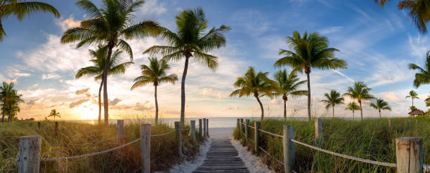 istock Footbridge to the beach 845840504
