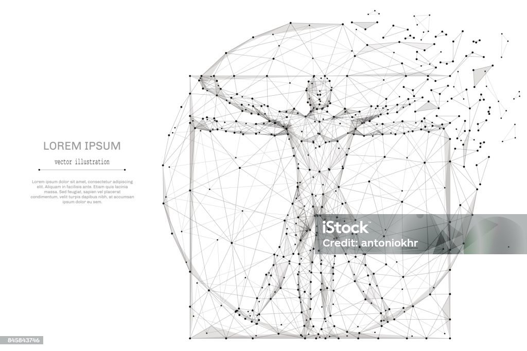 classic proportion man low poly gray classic proportion man low poly wireframe. Abstract mash line and point origami on white background with an inscription. Starry sky or space, consisting of stars and the universe. Vector illustration Leonardo Da Vinci stock vector