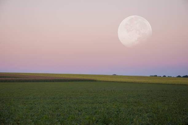 istock Landscape. Beautiful big moon over the green field 845845000