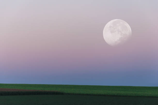 istock Landscape. Beautiful big moon over the green field 845845168