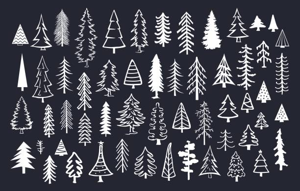 ilustrações de stock, clip art, desenhos animados e ícones de collection of doodle pine fir conifer trees in white color over black background - fir tree coniferous tree needle tree