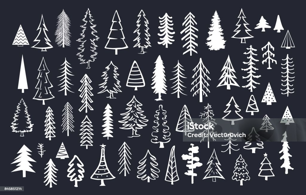 collection of doodle pine fir conifer trees in white color over black background collection of doodle pine fir conifer trees in white color over dark background Pine Tree stock vector
