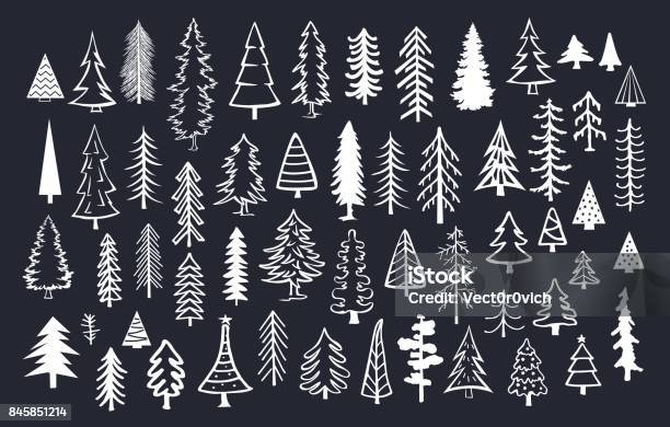 Collection Of Doodle Pine Fir Conifer Trees In White Color Over Black Background Stock Illustration - Download Image Now