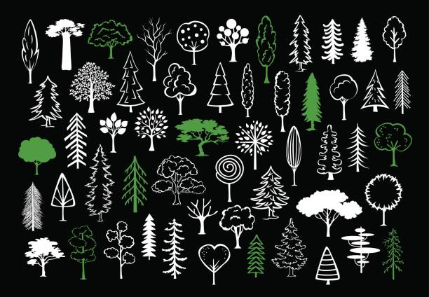 illustrazioni stock, clip art, cartoni animati e icone di tendenza di alberi silhouette doodle disegnati a mano in diversi stili - autumn backgrounds biology botany