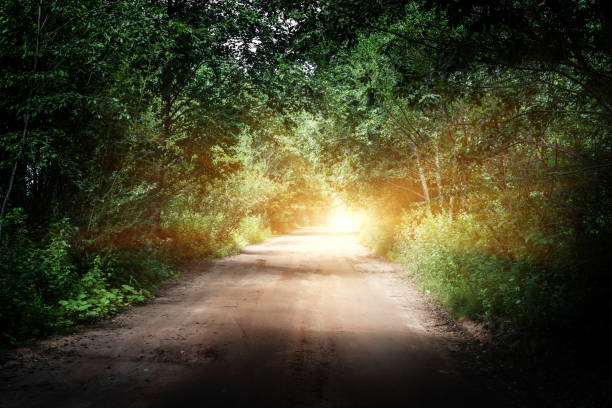 istock Sunrise beautiful road in forest 845860076