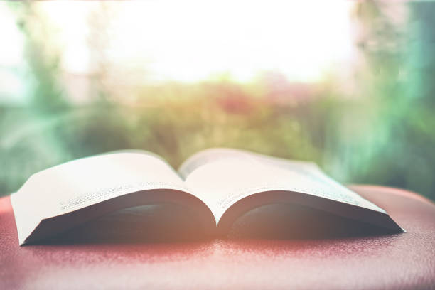 istock The book opened on a red chair with a tree garden as the background blurred.This image is blurred and soft focus. 845863734