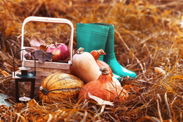 istock Autumnal arrangement in straw 845863762