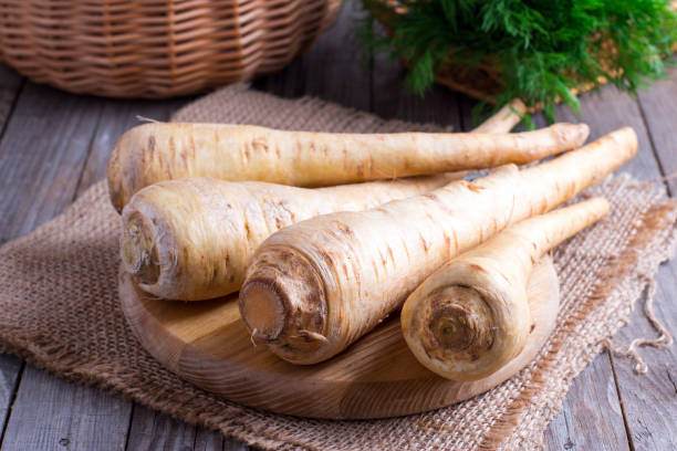 fresh parsnip on wooden table - table ingredient gardening agriculture imagens e fotografias de stock