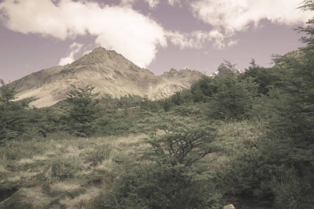 vegetation on andes foothills and slopes - foothills parkway imagens e fotografias de stock