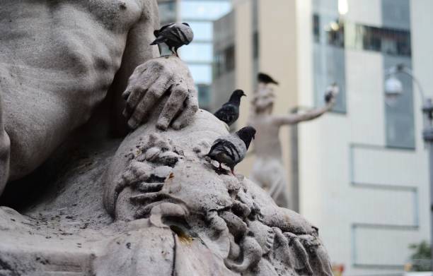 istock pigeons on sculpture in urban area 845885450