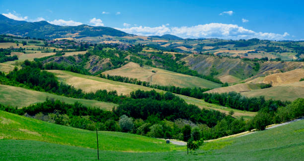 istock Rivalta di Lesignano (Parma, Italy): summer landscape 845885676