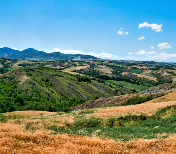 istock Rivalta di Lesignano (Parma, Italy): summer landscape 845885936
