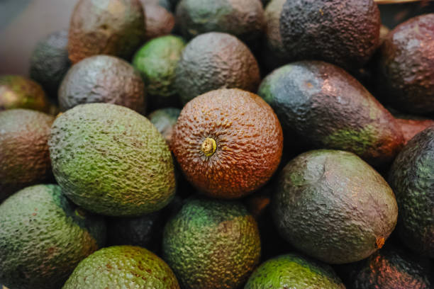 istock Many green and brown adocados close up 845888312