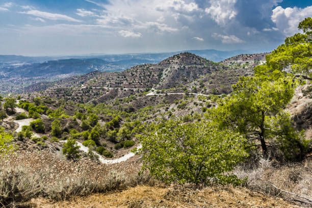 The narrow dirt road runs along the slopes of the mountains and down to the valley where the grapes are grown. The Troodos mountains in the Central part of the island of Cyprus.