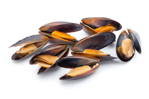 istock Mussels isolated on white background. Sea food. 845910084