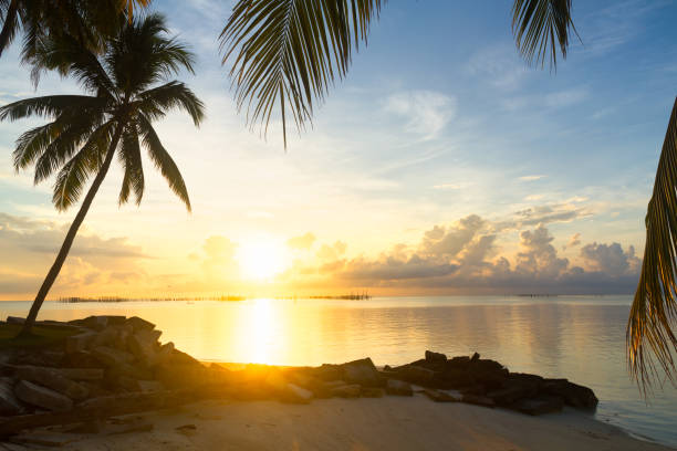 istock Silhouette of palm tree with sun, sea and beach 845911842