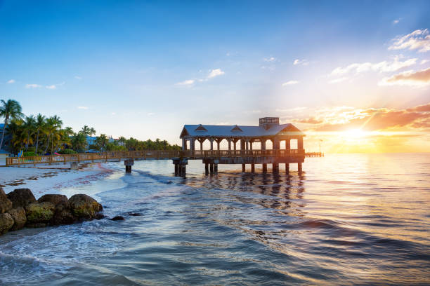 istock Pier at the beach in Key West 845912044