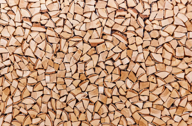 istock Wooden background of shattered tree trunks 845922724