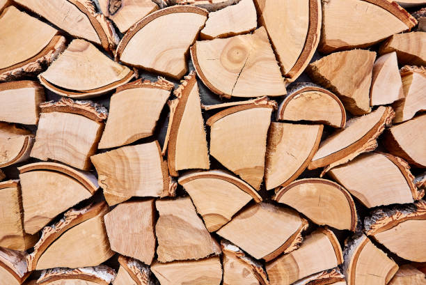 istock Wooden background of shattered tree trunks 845922768
