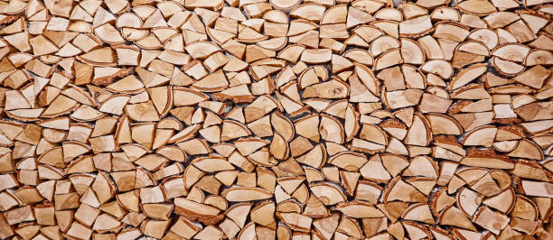 istock Wooden background of shattered tree trunks 845922798