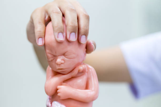 Pregnant woman sitting on the floor with a teddy bear