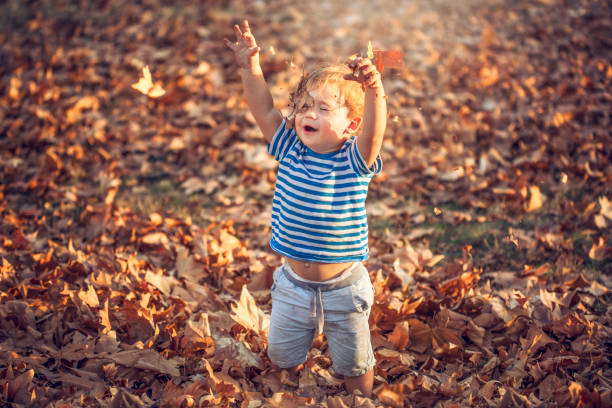 istock Little boy in autumn park 845932942
