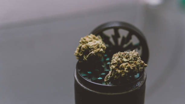 istock marijuana buds close-up. Smoking culture 420 845935394