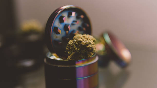 istock marijuana buds close-up. Smoking culture 420 845935422