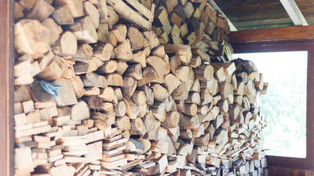 istock Piles of wood 845939312