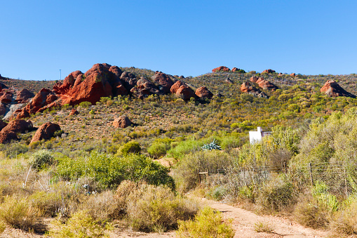 The dusty road leading up to the Red Mountains in Calitzdorp.