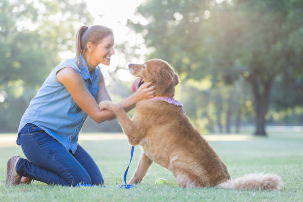 istock Woman praises dog during obedience training 845953770
