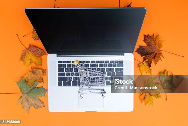 Laptop Computer And Shopping Cart Stock Photo - Download Image Now - Above, Adult, Autumn