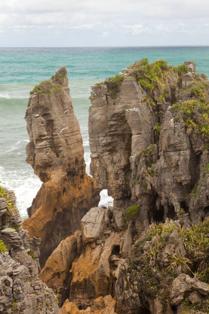 istock Column of layers in Pancake Rocks 845962396