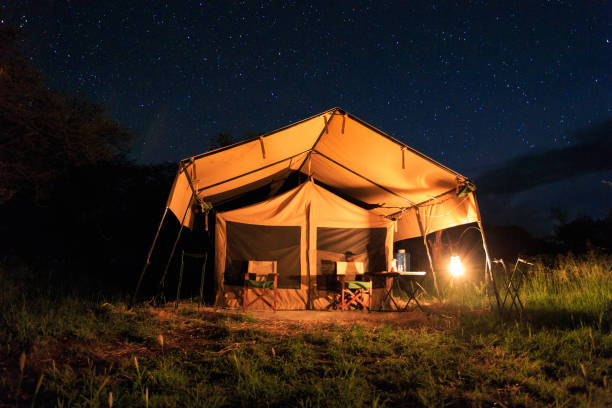istock Serengeti Lodge 845962588