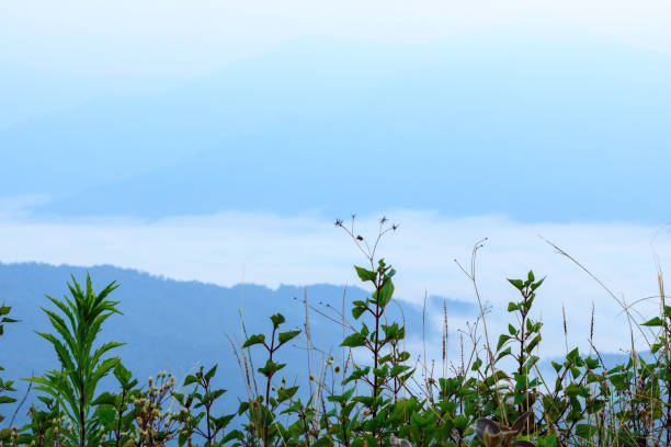 istock Morning fog in the mountains 845965720