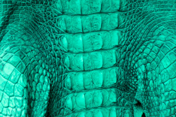 istock Textured background of genuine leather in crocodile skin pattern 845967282