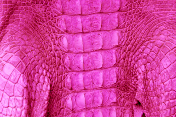istock Textured background of genuine leather in crocodile skin pattern 845967316