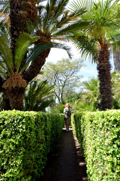 istock Woman in the Mediterranean garden 845969840