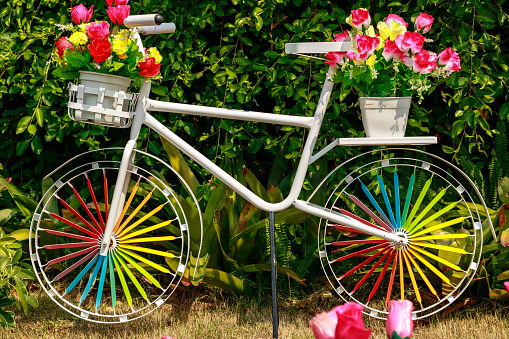 old colorful bike standing on the garden