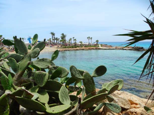 istock beach coast landscape mediterranean sea Cyprus island 845976530