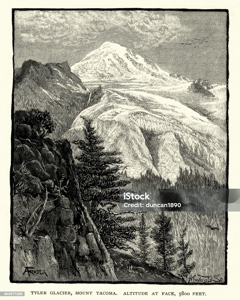 Taylor Glacier, Mount Rainier, 19th Century Vintage engraving of Mount Rainier (Tacoma), 19th Century. Mount Rainier, is the highest mountain of the Cascade Range of the Pacific Northwest, and the highest mountain in the U.S. state of Washington. Archival stock illustration