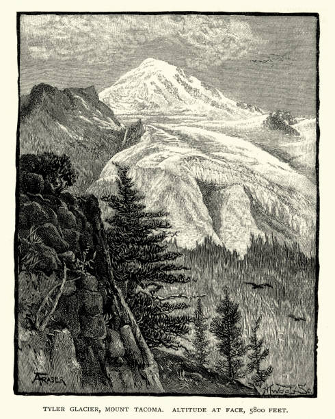 Taylor Glacier, Mount Rainier, 19th Century Vintage engraving of Mount Rainier (Tacoma), 19th Century. Mount Rainier, is the highest mountain of the Cascade Range of the Pacific Northwest, and the highest mountain in the U.S. state of Washington. mt rainier stock illustrations