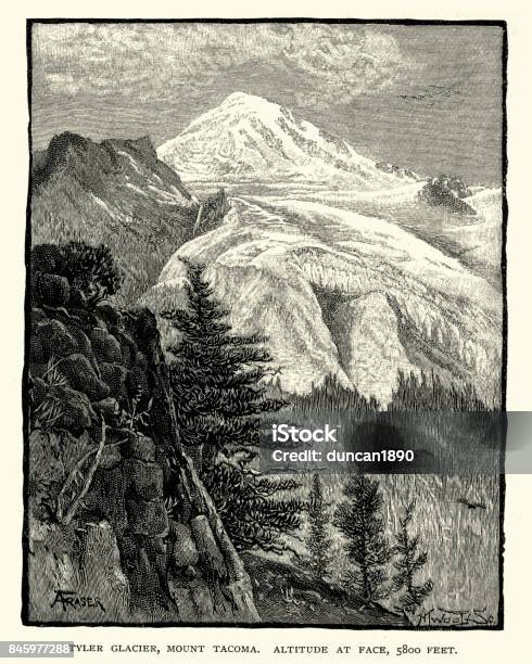 Taylor Glacier Mount Rainier 19th Century Stock Illustration - Download Image Now - Archival, Old-fashioned, Outdoors