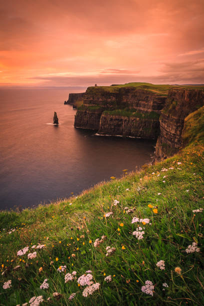 scogliere di moher al crepuscolo - clare, irlanda - republic of ireland cliffs of moher cliff sunset foto e immagini stock