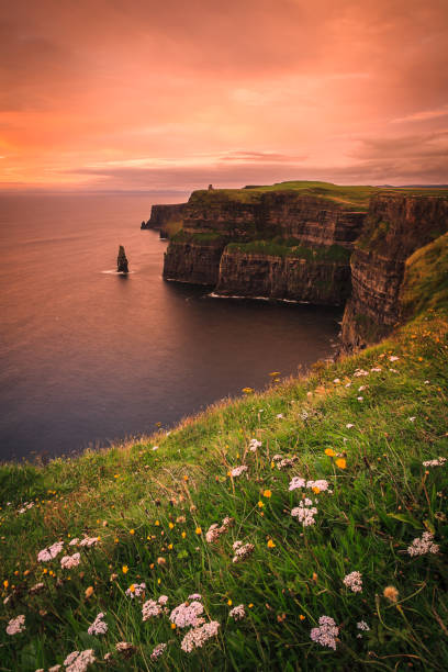 Cliffs of Moher at Dusk - Clare, Ireland Landscape of the Irish coast at sunset the burren photos stock pictures, royalty-free photos & images