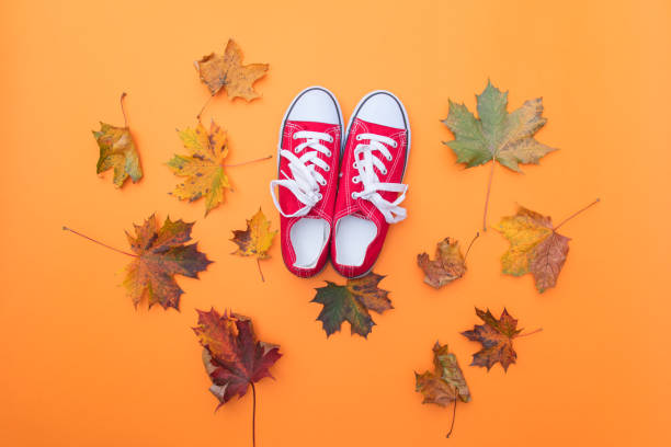 istock Above view at red gumshoes 845985058