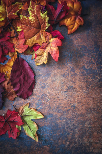 istock Autumn Decoration Background with Leafs 845987506