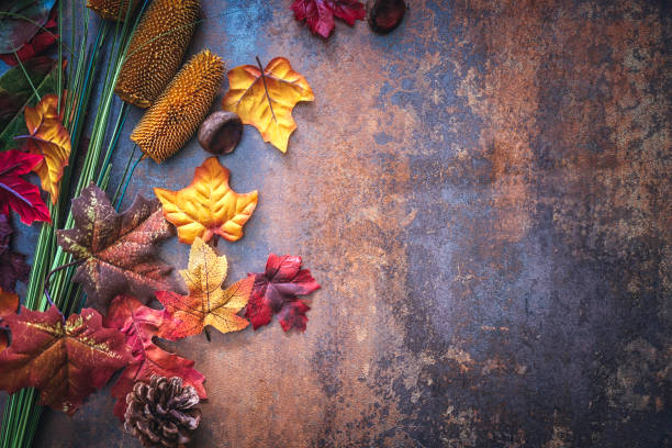 istock Autumn Decoration Background with Leafs 845987560