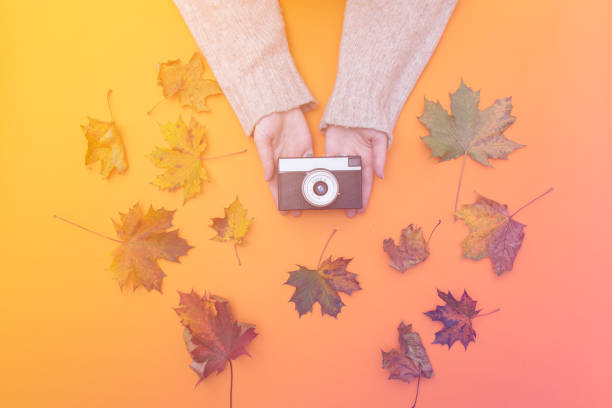 istock Above view at hands holding vintage camera 845987912